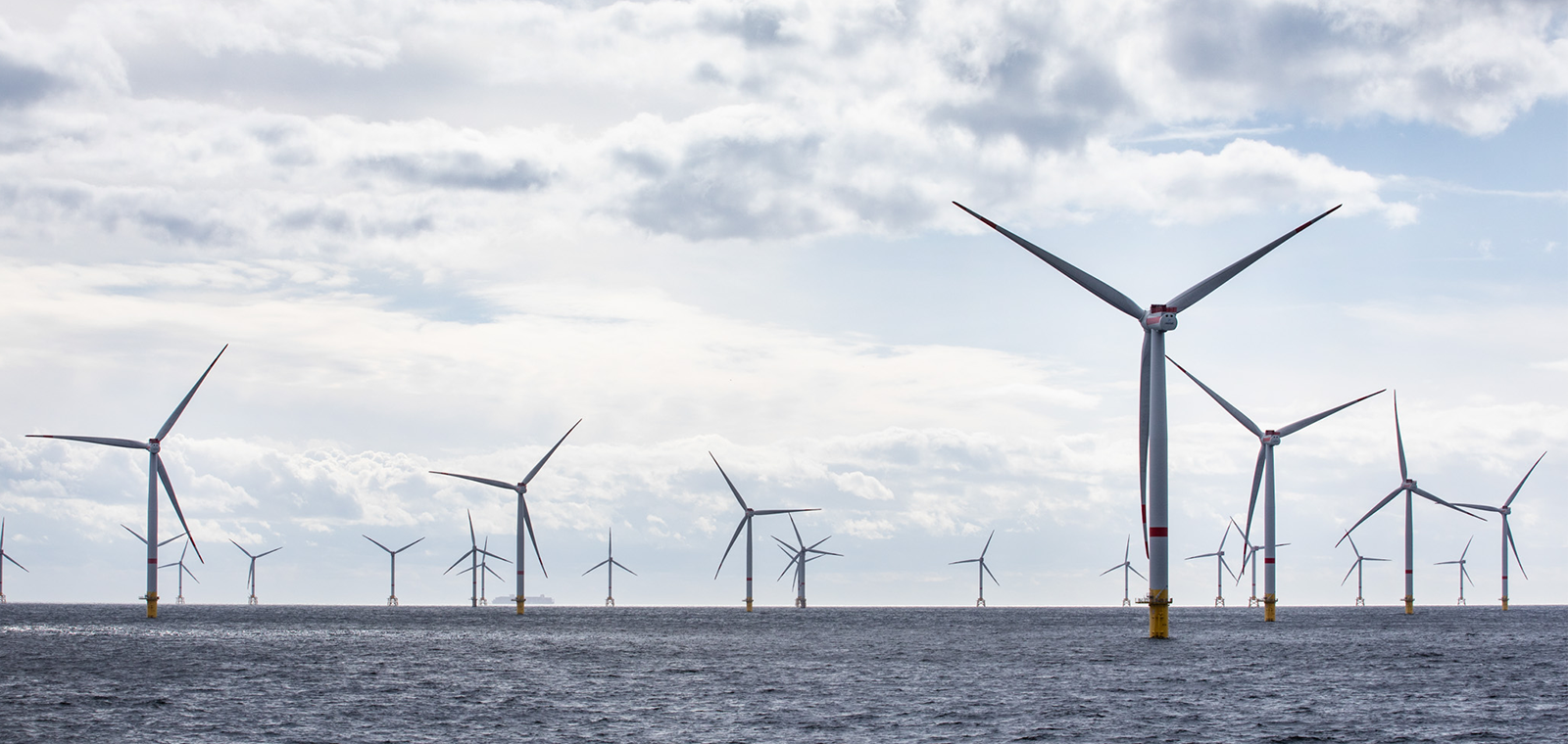 Cyan Renewables acquires MMA Offshore