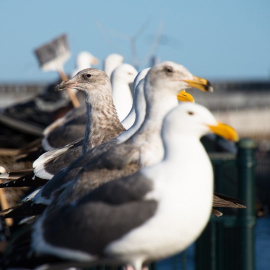 PROVIDING A VESSEL IS NOT ENOUGH TO STAND OUT FROM THE CROWD